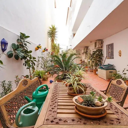 Carabeillo 13 Casasol